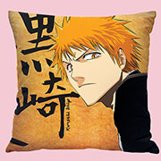 Bleach Pillow