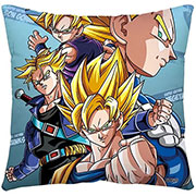 Dragon Ball Z Pillow Case