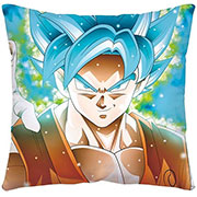Dragon Ball Z Pillow Case