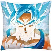 Dragon Ball Z Pillow Case