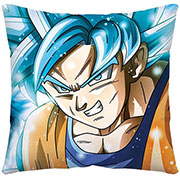 Dragon Ball Z Pillow Case