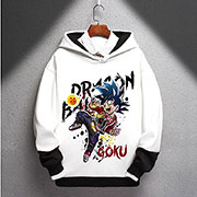 Dragon Ball Hoodie