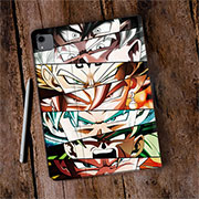 Dragon Ball ipad case