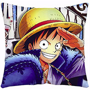 One Piece Pillow Case