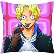 One Piece Pillow Case