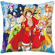 One Piece Pillow Case