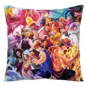 One Piece Pillow Case